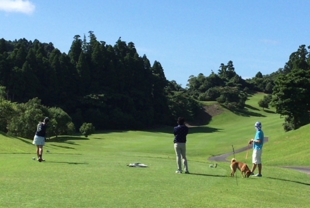 家族とワンコ ペット とゴルフ In Abcいすみゴルフコース Losの日々ブログ スポーツ 芸能 ダイエットなど